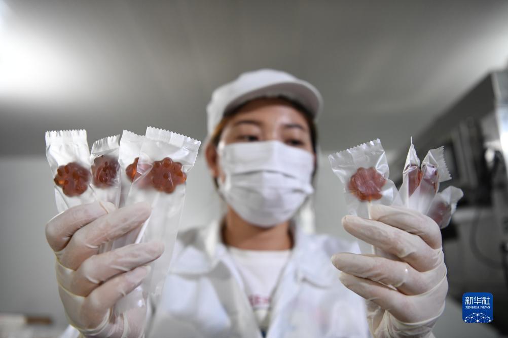 皇冠电脑版网址